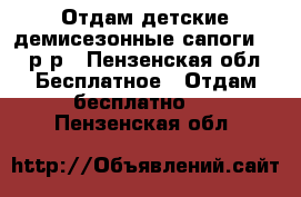 Отдам детские демисезонные сапоги, 31 р-р - Пензенская обл. Бесплатное » Отдам бесплатно   . Пензенская обл.